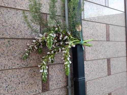 IMG-20240519-WA0146